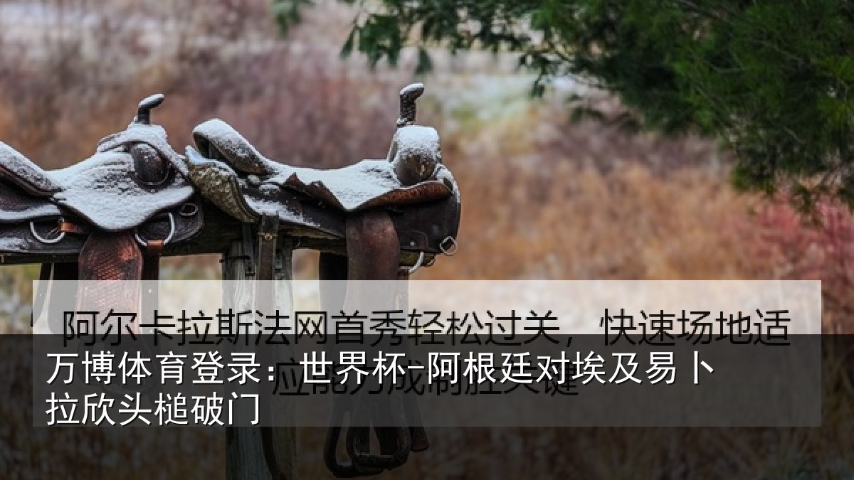 万博体育登录:世界杯-阿根廷对埃及易卜拉欣头槌破门